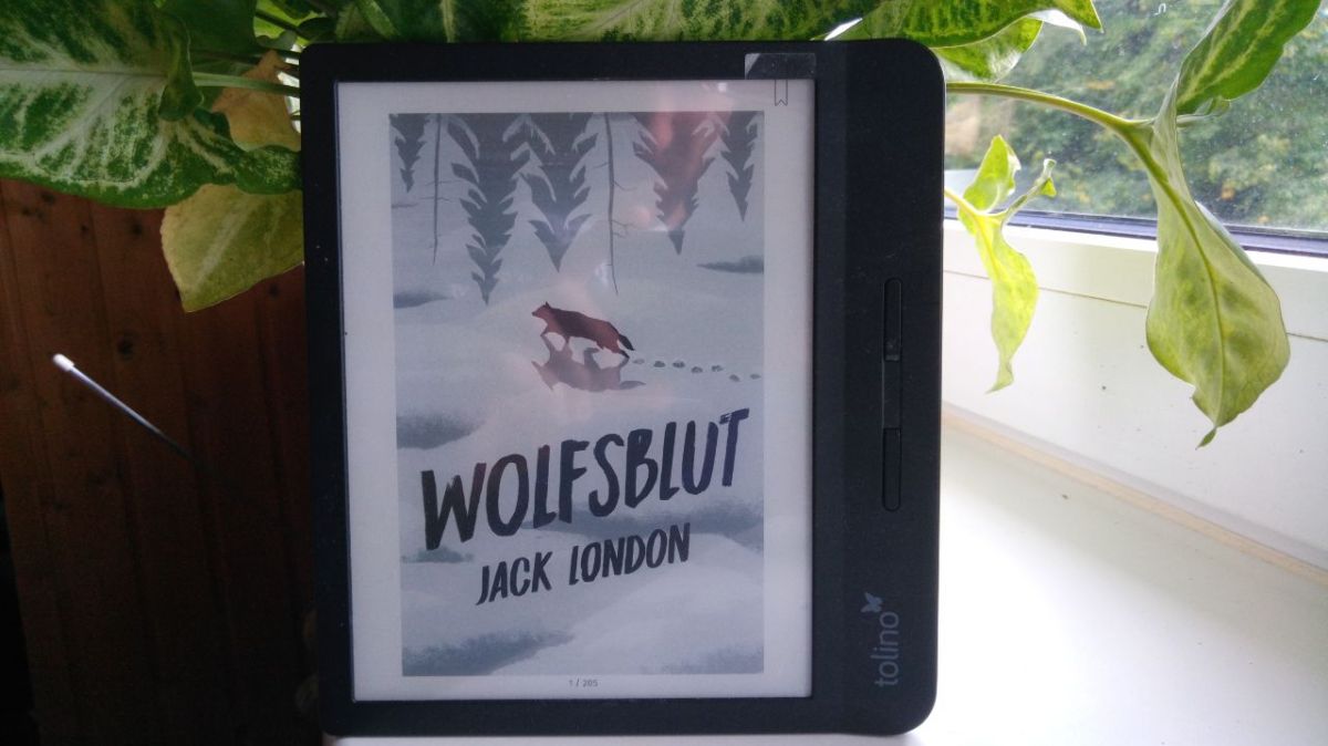 Rezension – Wolfsblut von Jack&nbsp;London